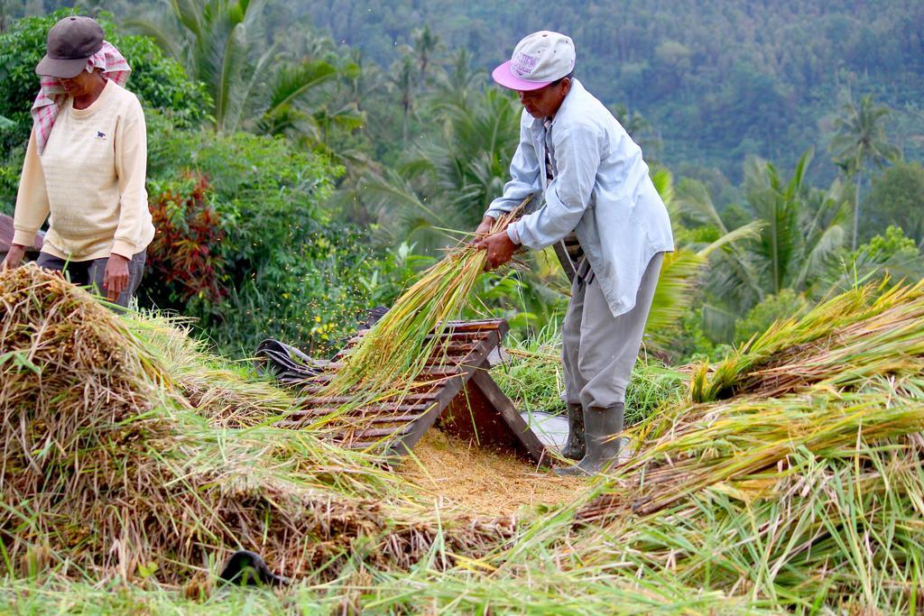 מלון Munduk Bali Bening מראה חיצוני תמונה
